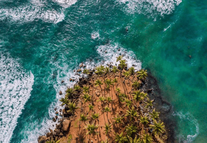 coconut-tree-hill-in-sri-lanka